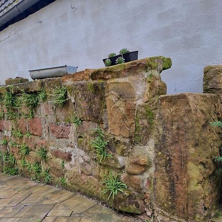 ヘルボルツハイム Haus Ziegenblickヴィラ エクステリア 写真